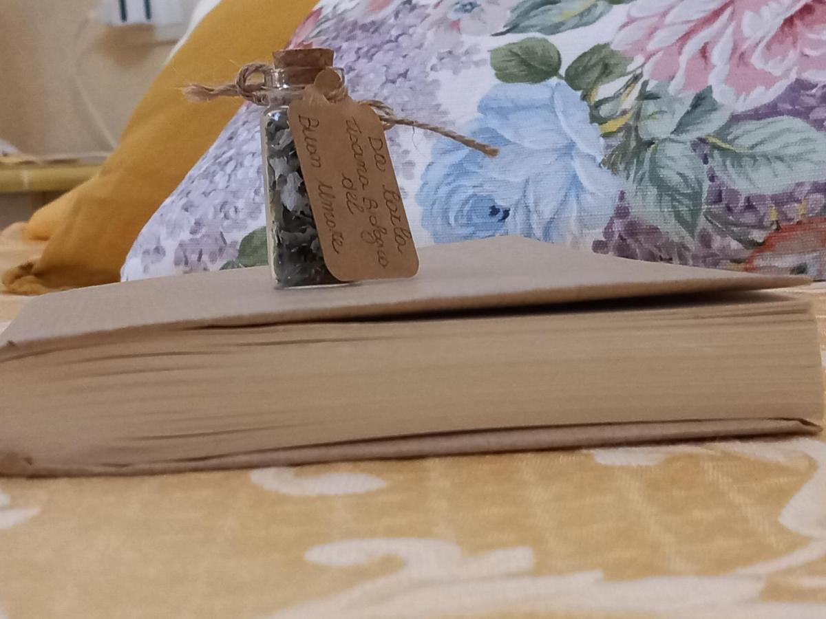 Affittacamere Da Carla بوناسولا المظهر الخارجي الصورة